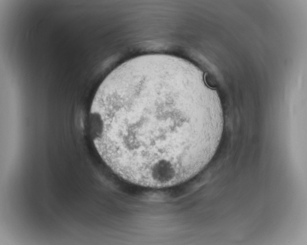 X0000115100115200911241241