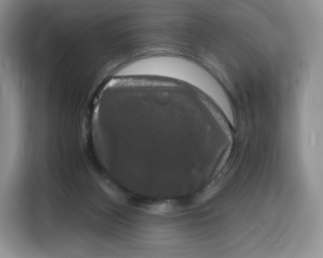 X0000115100116200911241241