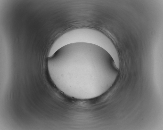 X0000115100117200911241241