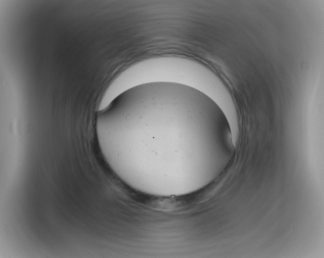 X0000115100121200911241241