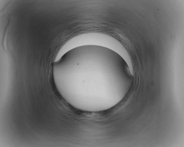 X0000115100125200911241241