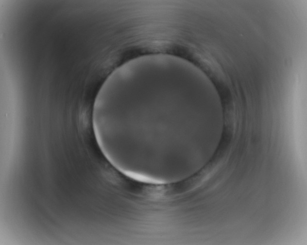 X0000115100131200911241241