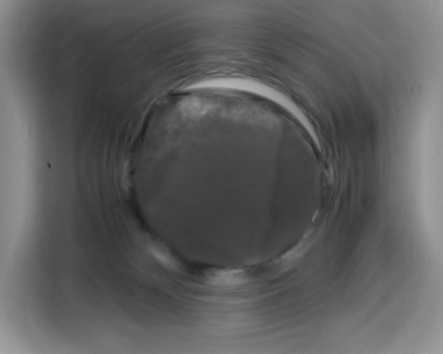 X0000115100132200911241241