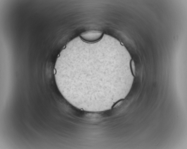 X0000115100133200911241241