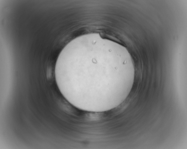 X0000115100134200911241241