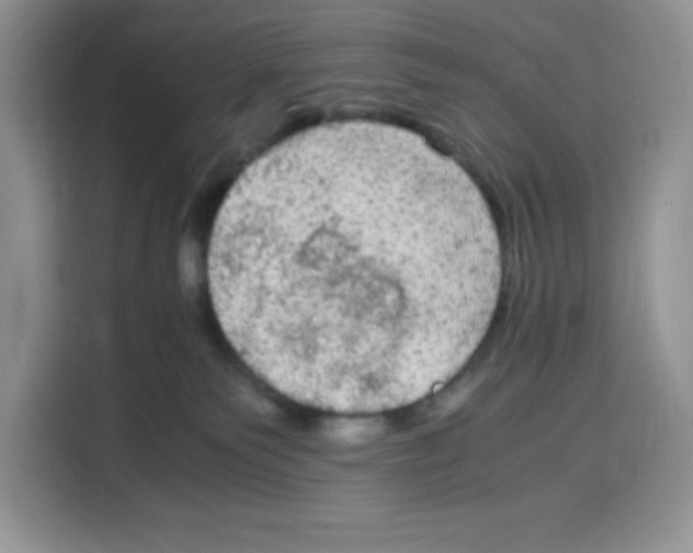 X0000115100135200911241241