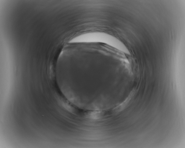 X0000115100136200911241241