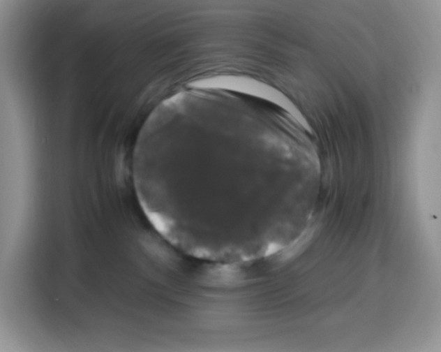 X0000115100140200911241241