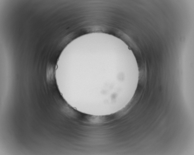 X0000115100142200911241241