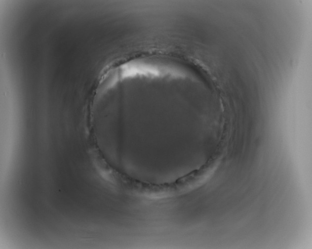 X0000115100144200911241241