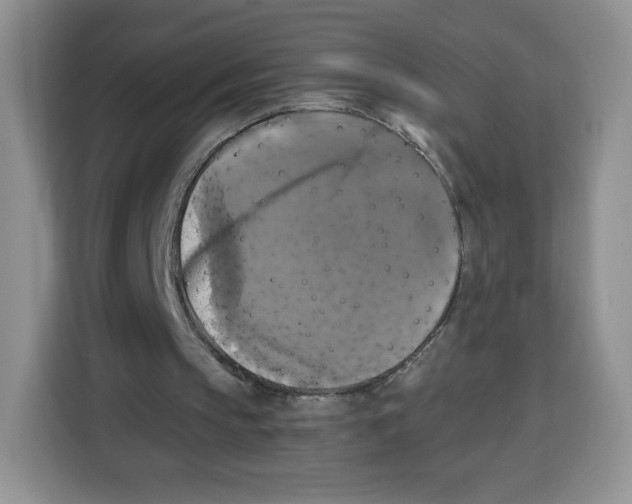 X0000115100145200911241240