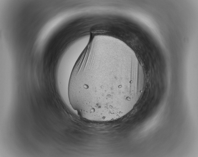 X0000115100146200911241240