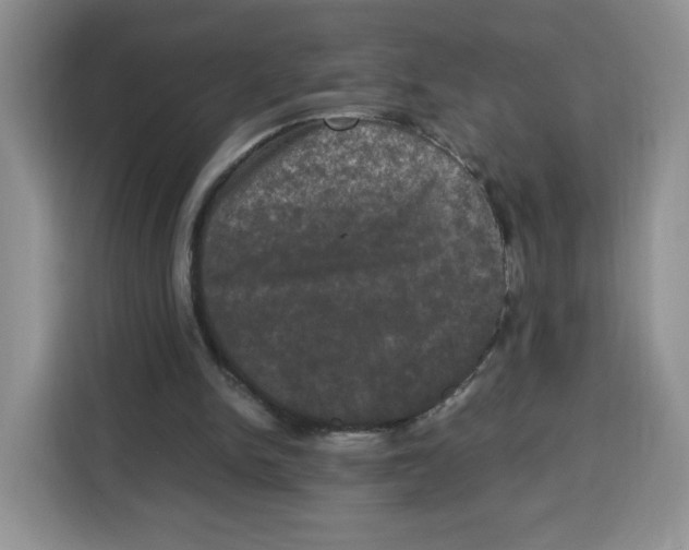 X0000115100150200911241240