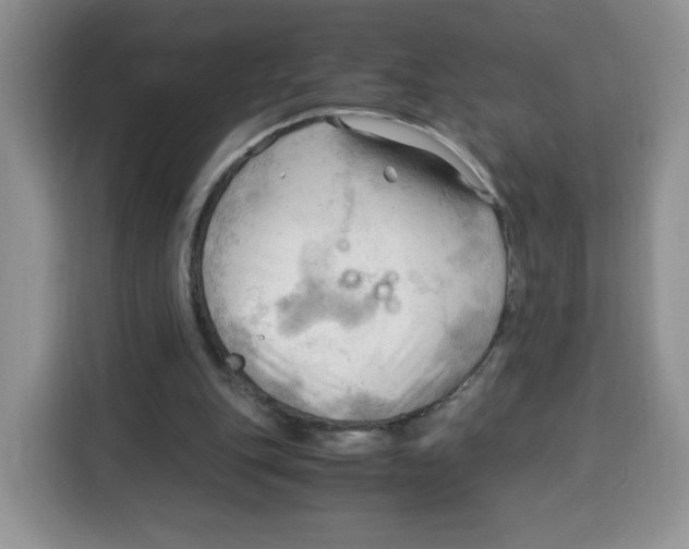 X0000115100151200911241240