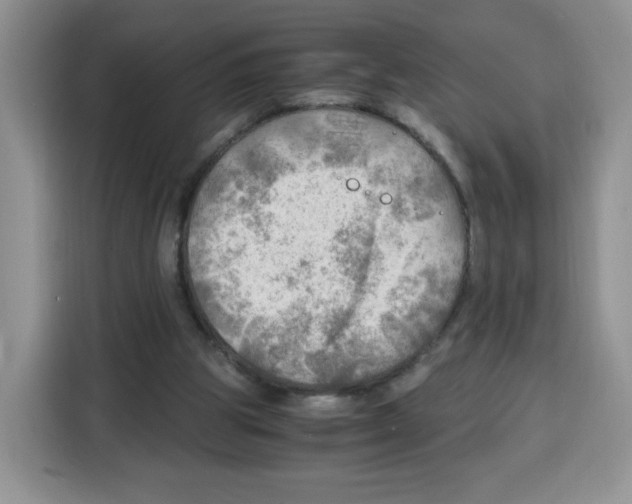 X0000115100153200911241240