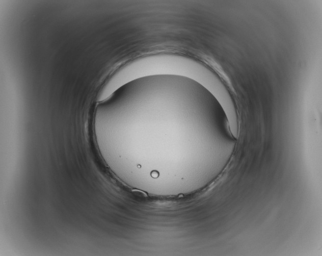 X0000115100154200911241240