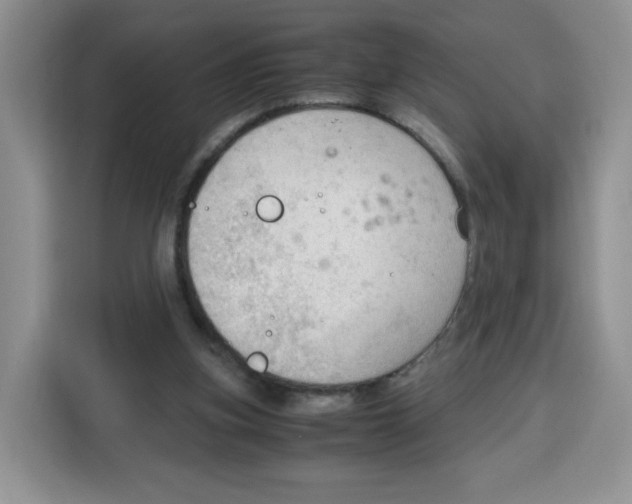 X0000115100155200911241240