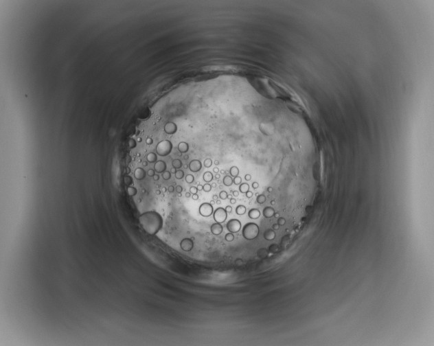 X0000115100157200911241240