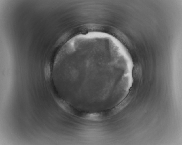 X0000115100158200911241240