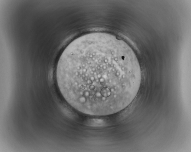 X0000115100159200911241241