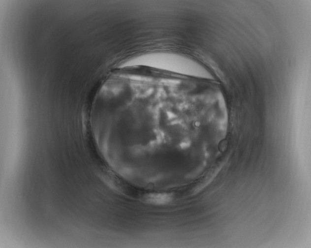 X0000115100161200911241241