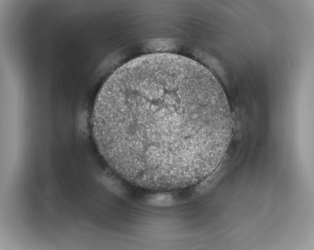 X0000115100162200911241241