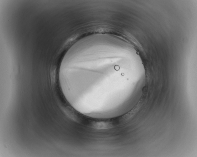 X0000115100163200911241241