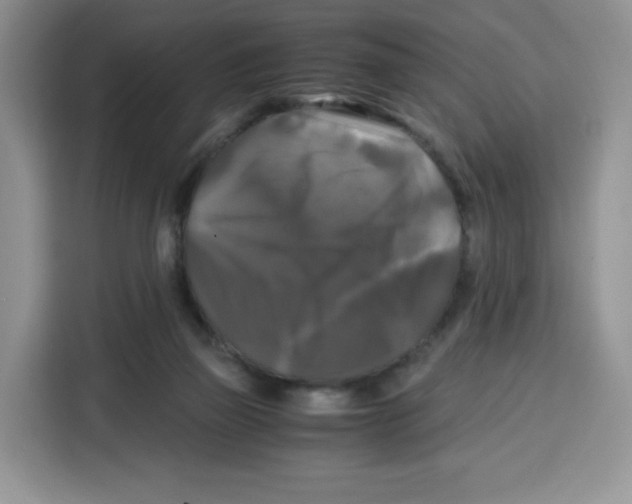 X0000115100165200911241241