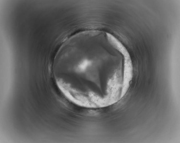 X0000115100166200911241241