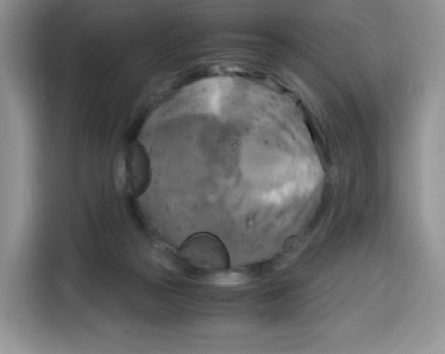 X0000115100169200911241241