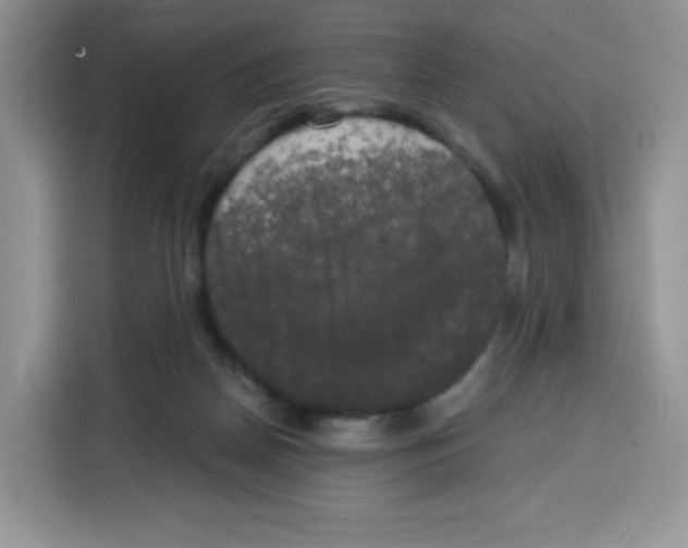 X0000115100170200911241241