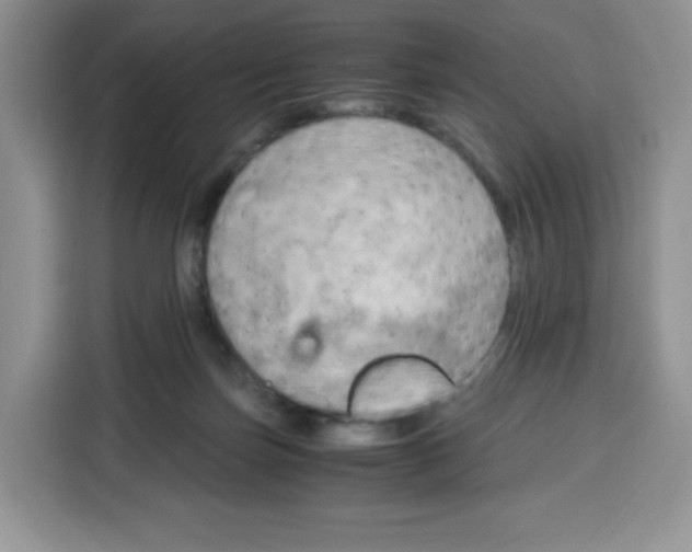 X0000115100171200911241241