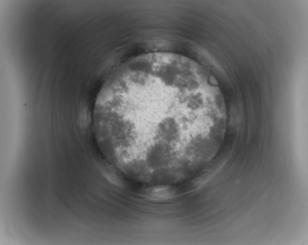 X0000115100173200911241241