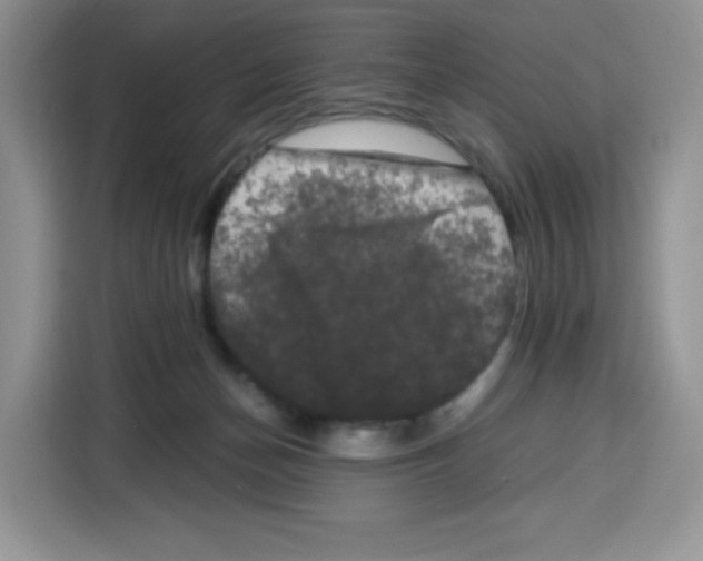 X0000115100174200911241241