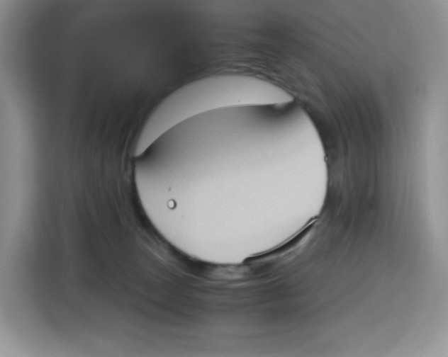 X0000115100179200911241241