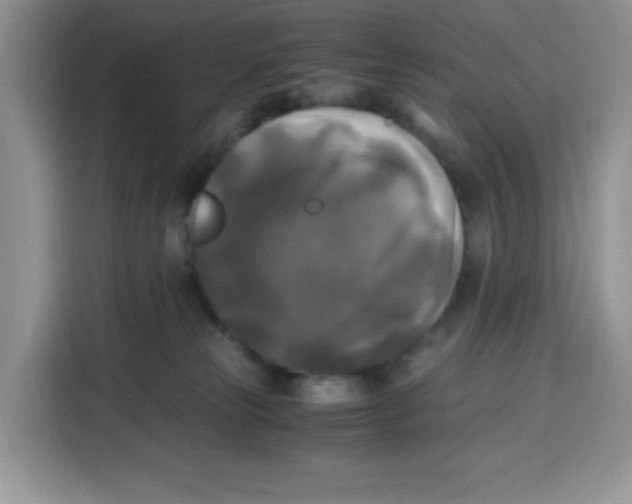 X0000115100181200911241241