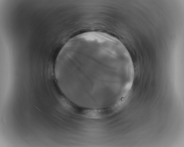 X0000115100182200911241241