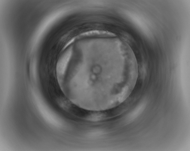 X0000115100189200911241241