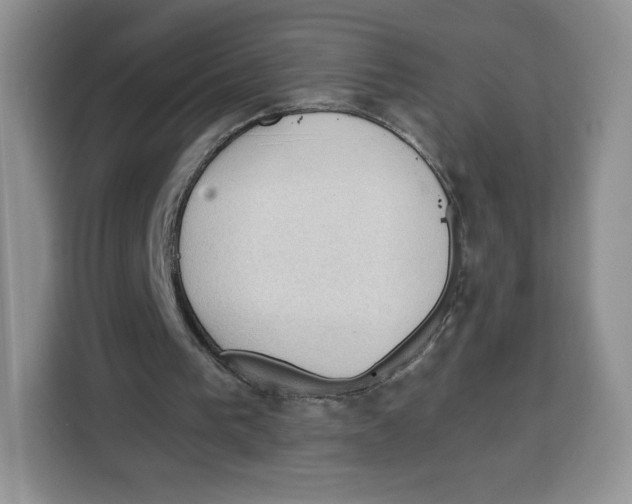 X0000115100193200911241240