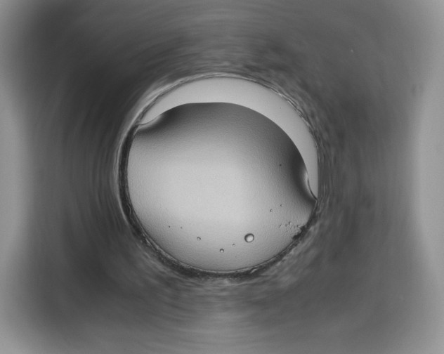 X0000115100195200911241240