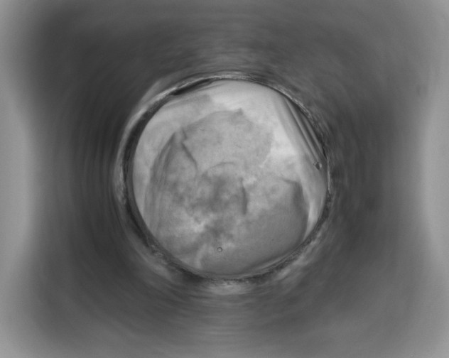 X0000115100198200911241240