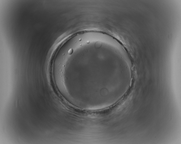 X0000115100199200911241240