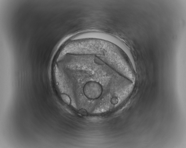 X0000115100200200911241240