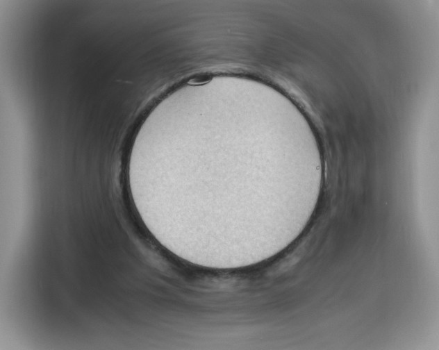 X0000115100201200911241240