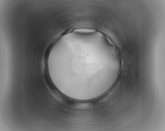 X0000115100202200911241240