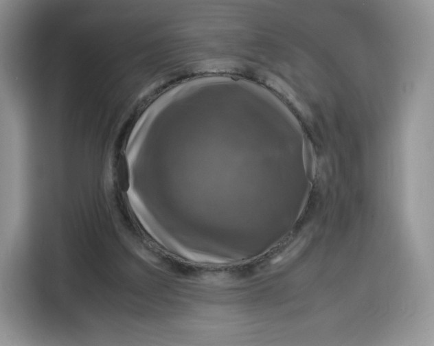 X0000115100203200911241240