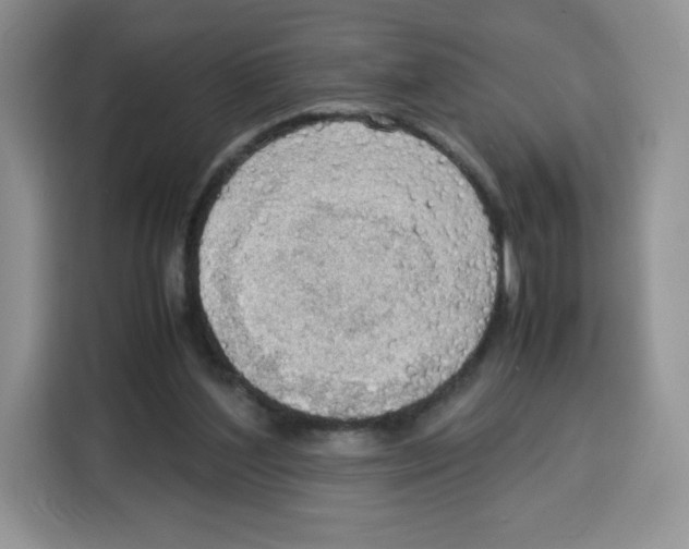 X0000115100204200911241240