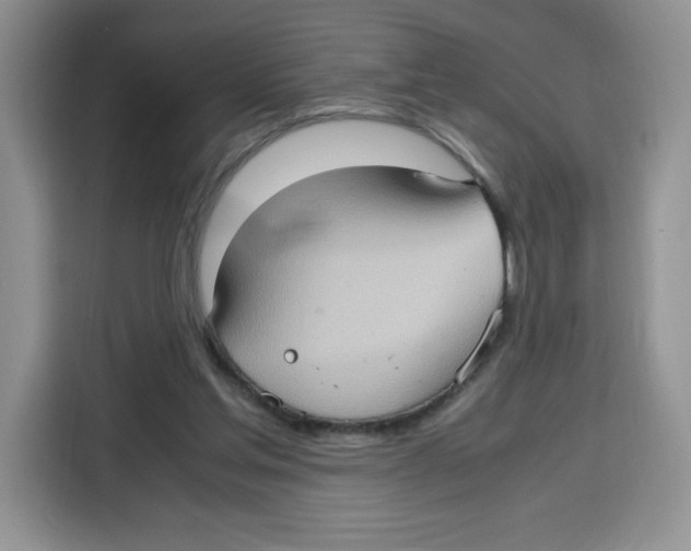 X0000115100205200911241240