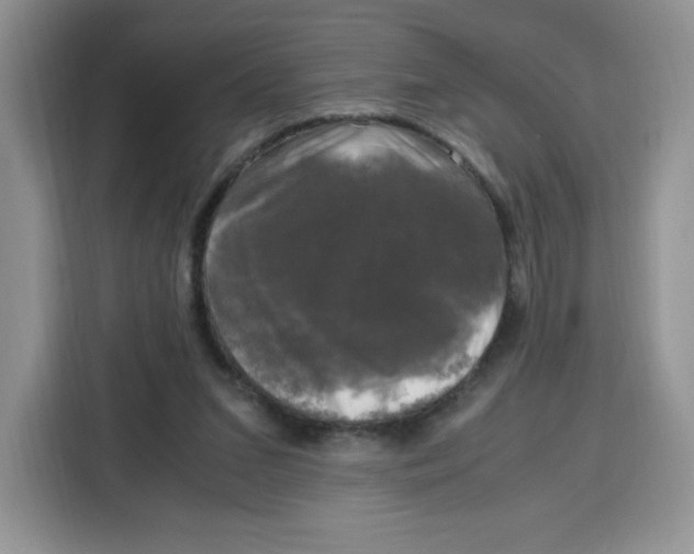 X0000115100207200911241240