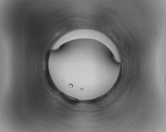 X0000115100211200911241240